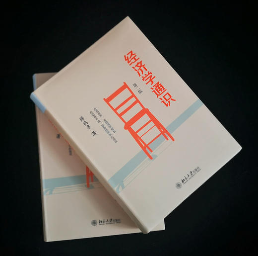 (仓发) 经济学通识(第2版) 奇葩说导师薛兆丰教授的经济学入门读物/北京大学出版社/薛兆丰/9787301258699 商品图8