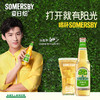 【部分地区预售，现货48h发货】Somersby夏日纷苹果味酒330ml*9瓶苹果味 商品缩略图2