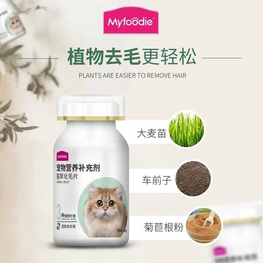 麦富迪猫草化毛片成幼猫咪去毛吐毛促排毛球补充维生素化毛膏100g 商品图1