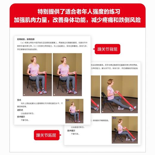 (仓发) 弹力带训练指南 第3版(人邮体育出品)/人民邮电出版社/[英]菲尔·佩奇（Phil,Page）托德·埃伦贝克（Todd,Ellenbecker）/9787115548924 商品图3