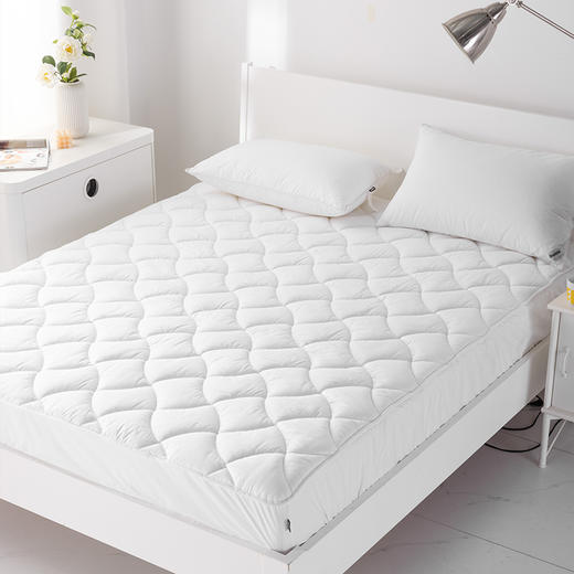 多喜爱 卡索尔抗菌笠围保护垫 cs 商品图3