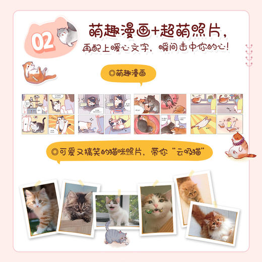 养猫书籍 新手养猫指南从读懂猫咪心理到温暖相伴一生 宠物书籍 猫咪书籍 商品图3