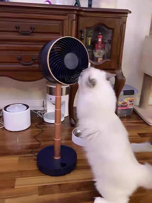 艾美特空气循环扇伸缩折叠电风扇小型落地无线充电台扇 商品图6