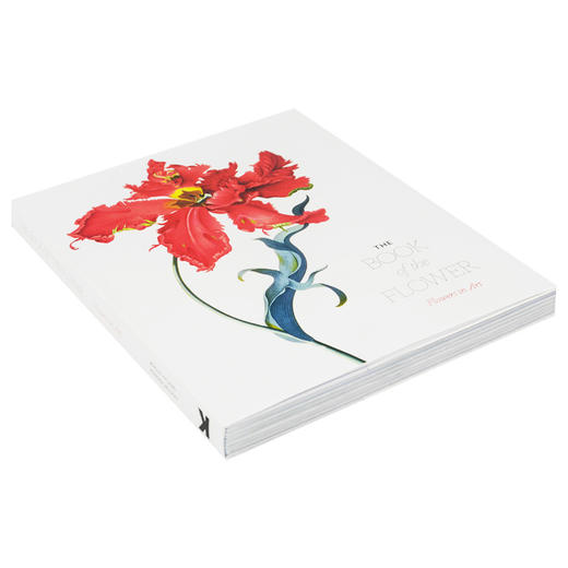 花之书 英文原版 The Book of the Flower Flowers in Art 艺术的花 花卉绘画册 插画集 英文版进口原版英语书籍 商品图1