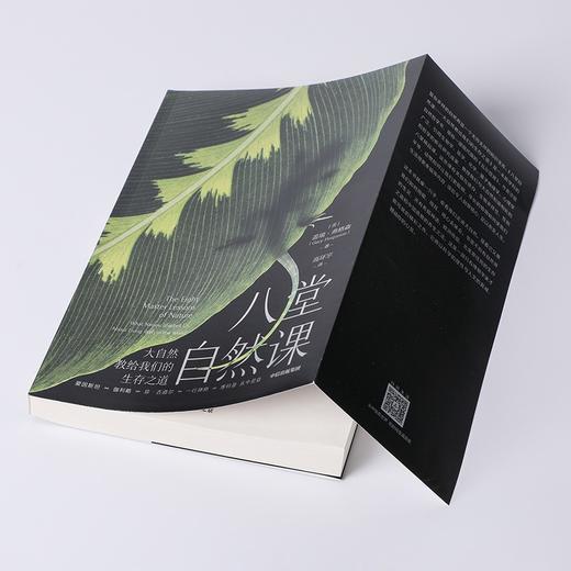(仓发) 八堂自然课：大自然教给我们的生存之道 盖瑞弗格森 著 现代版 瓦尔登湖/中信出版集团/盖瑞·弗格森（Gary,Ferguson）/9787521736311 商品图4