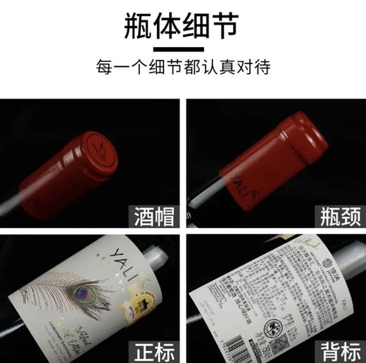 【连续六年智利一级庄】安第斯之翼赤霞珠红葡萄酒 智利 商品图9