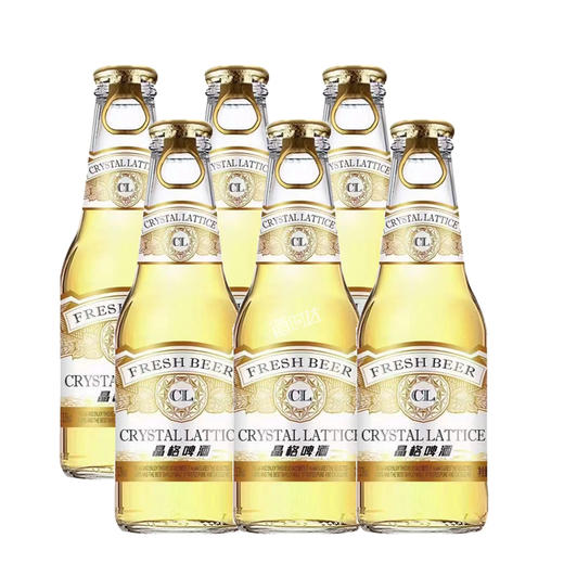 [啤酒]晶格啤酒(黄晶格拉环)啤酒236ml*24瓶整箱 商品图2
