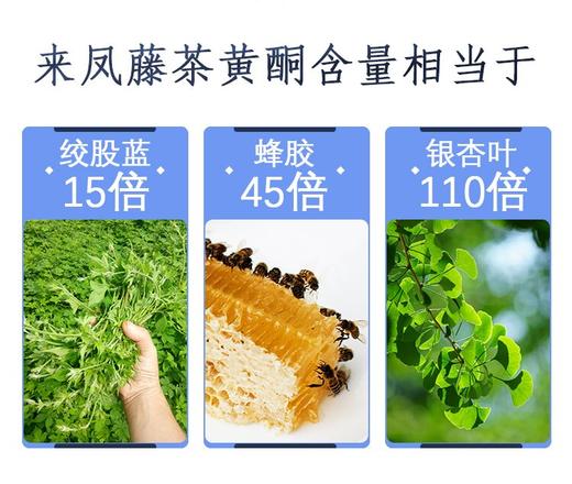 LF来凤藤茶春上寻40g 商品图9