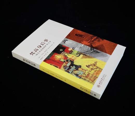 (仓发) 梵高身后事——一场艺术真伪的旷世之争/北京大学出版社/亨克·特伦普（Henk,Tromp）/9787301315088 商品图3