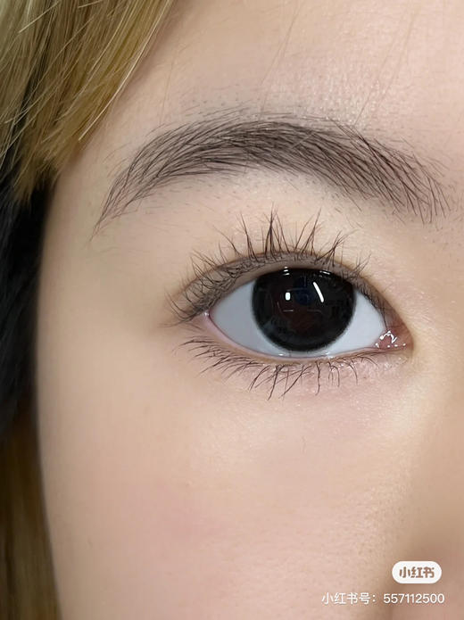 日抛 E-lensstyle 小圆环黑 14.2 262 商品图1