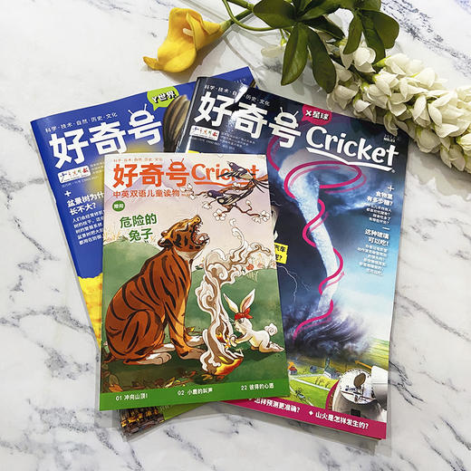 【2026杂志季】《好奇号》6-12岁青少年科普百科小学生通识教育  12期（2026年1月-2026年12月） 商品图11