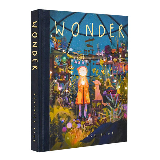 奇迹 英文原版 Wonder 碧翠丝布鲁的艺术绘本画册 西班牙插画师 Beatrice Blue 英文版进口原版英语书籍 商品图0