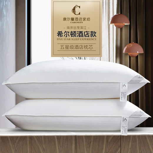 世茂希尔顿五星级酒店枕头夏季家用护颈椎枕芯助睡眠单人一对拍2 商品图0