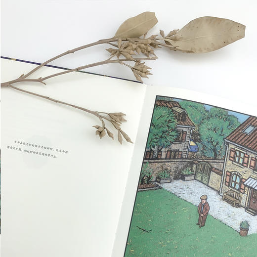 (仓发) 爷爷的种子（诗意而富有哲理的生命教育绘本，描绘梦想、成长与希望之美）浪花朵朵/花山文艺出版社/[法]亚历克西-热尼/9787551145282 商品图5