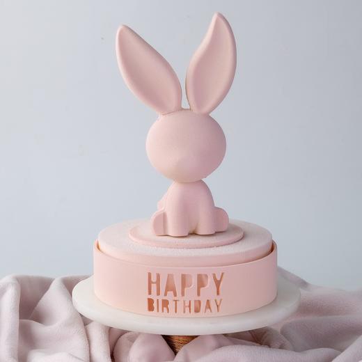 许愿兔 商品图2