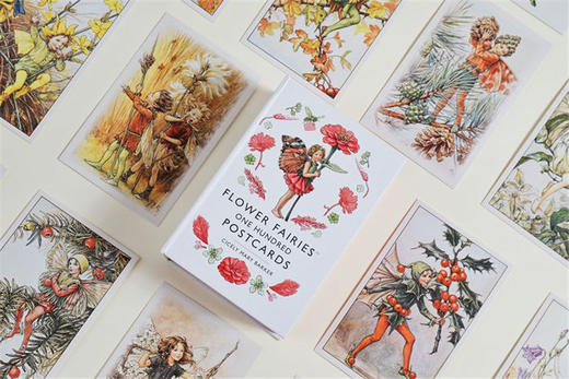 花仙子明信片100张 英文原版 Flower Fairies One Hundred Postcards  手绘明信片 花精灵 周边 英文版进口英语书籍 商品图2