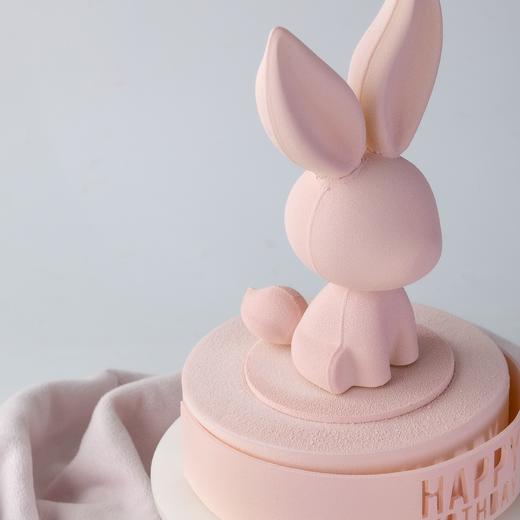 许愿兔 商品图4