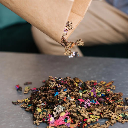 TREFL 平面木制拼图500+1片彩色小狗TREC20160 商品图6