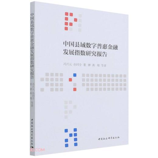 中国县域数字普惠金融发展指数研究报告 商品图0