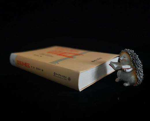 (仓发) 经济学通识(第2版) 奇葩说导师薛兆丰教授的经济学入门读物/北京大学出版社/薛兆丰/9787301258699 商品图7