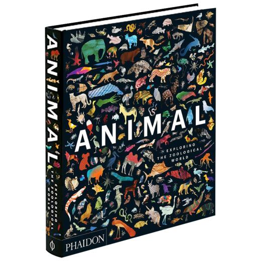 动物 探索动物学的世界 英文原版 Animal Exploring the Zoological World 300多幅迷人的图片 画册 英文版进口原版英语书籍 商品图3