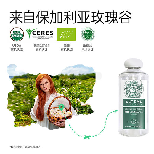 【保税区包邮直发】Alteya 爱蒂娅 Alba白玫瑰纯露 珍贵稀有 亮白补水120ml 商品图4