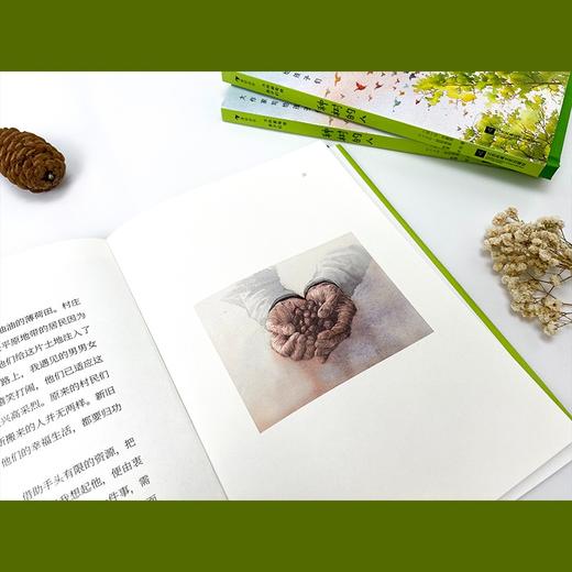 种树的人 商品图2