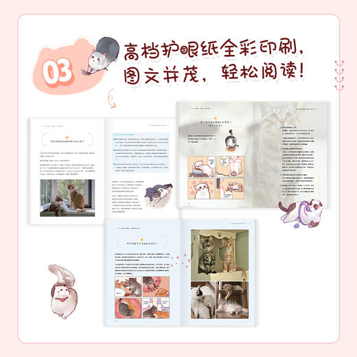 养猫书籍 新手养猫指南从读懂猫咪心理到温暖相伴一生 宠物书籍 猫咪书籍 商品图4