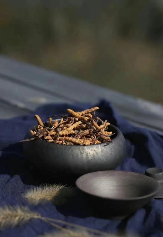 央珍野生冬虫夏草礼盒装1700条/18g送礼包邮正品 商品图2