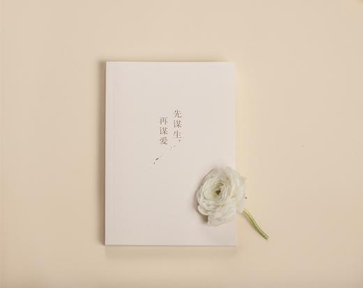 (仓发) 先谋生，再谋爱/天津人民出版社/李筱懿/9787201101484 商品图4