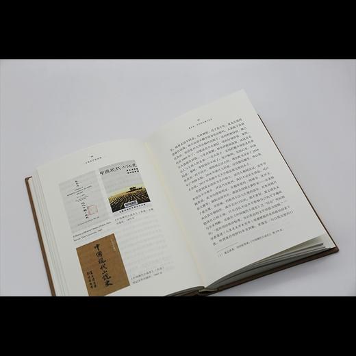 (仓发) 陈平原：小说史学面面观/生活·读书·新知三联书店/陈平原/9787108072160 商品图7