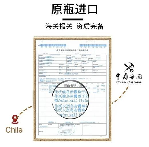 【连续六年智利一级庄】安第斯之翼赤霞珠红葡萄酒 智利 商品图5