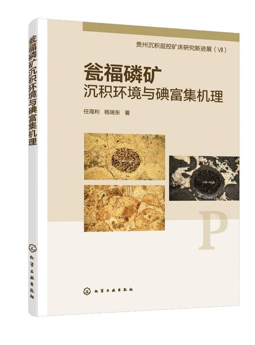 瓮福磷矿沉积环境与碘富集机理 商品图0