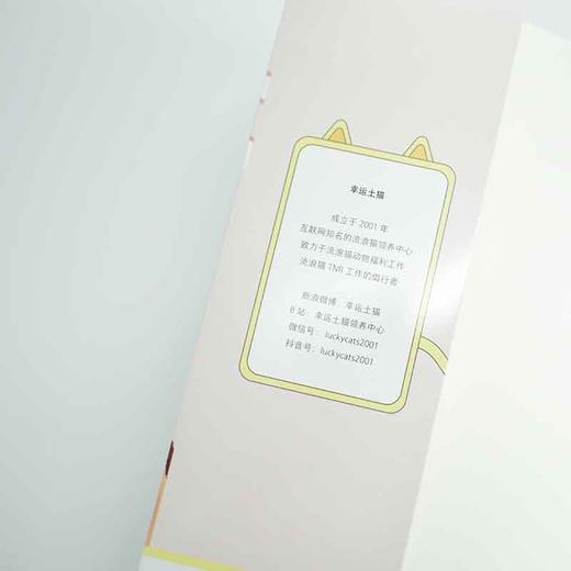 养猫书籍 新手养猫指南从读懂猫咪心理到温暖相伴一生 宠物书籍 猫咪书籍 商品图9