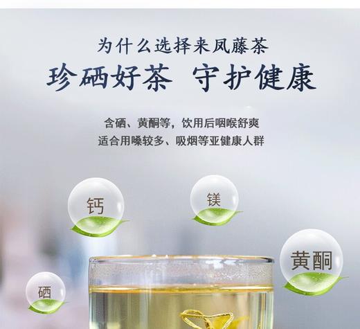 LF来凤藤茶春上寻40g 商品图6