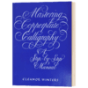 掌握圆体花体书法手册 英文原版 Mastering Copperplate Calligraph 英文版进口英语书籍 商品缩略图1