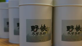 「野·铁」与众不同的铁观音 传统工艺 荒野生态  水甜韵长 人间小甜水