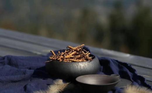 央珍野生冬虫夏草礼盒装1500条/18g送礼包邮 商品图2