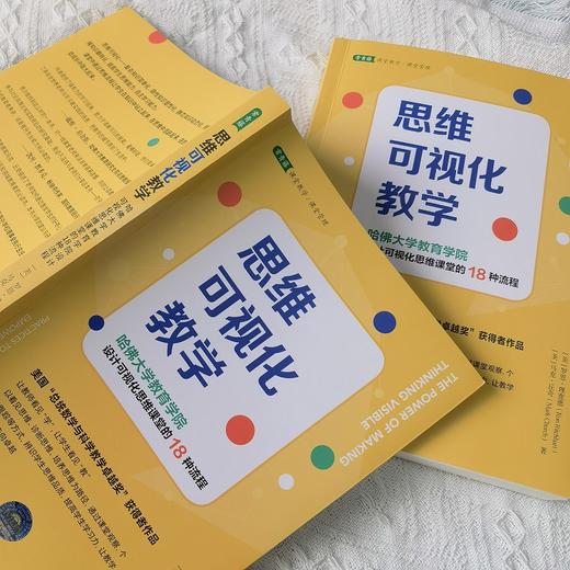 思维可视化教学：哈佛大学教育学院设计可视化思维课堂的18种流程 商品图4