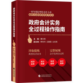 (仓发) 政府会计实务全过程操作指南/中国财政经济出版社/9787509592977