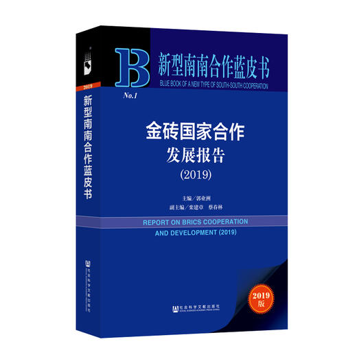 (2019)金砖国家合作发展报告 商品图0
