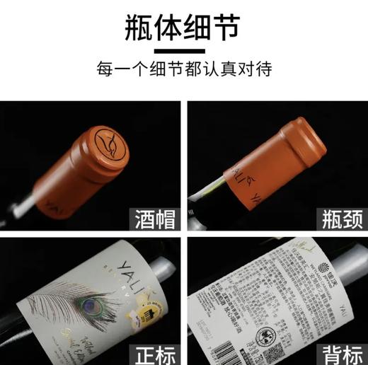 【连续六年智利一级庄】安第斯之翼 佳美娜红葡萄酒 智利中央山谷 商品图9