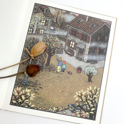 (仓发) 爷爷的种子（诗意而富有哲理的生命教育绘本，描绘梦想、成长与希望之美）浪花朵朵/花山文艺出版社/[法]亚历克西-热尼/9787551145282 商品图6