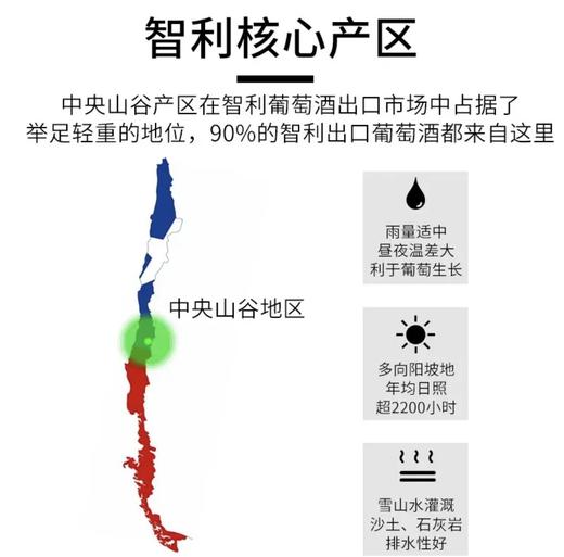 【连续六年智利一级庄】安第斯之翼赤霞珠红葡萄酒 智利 商品图7