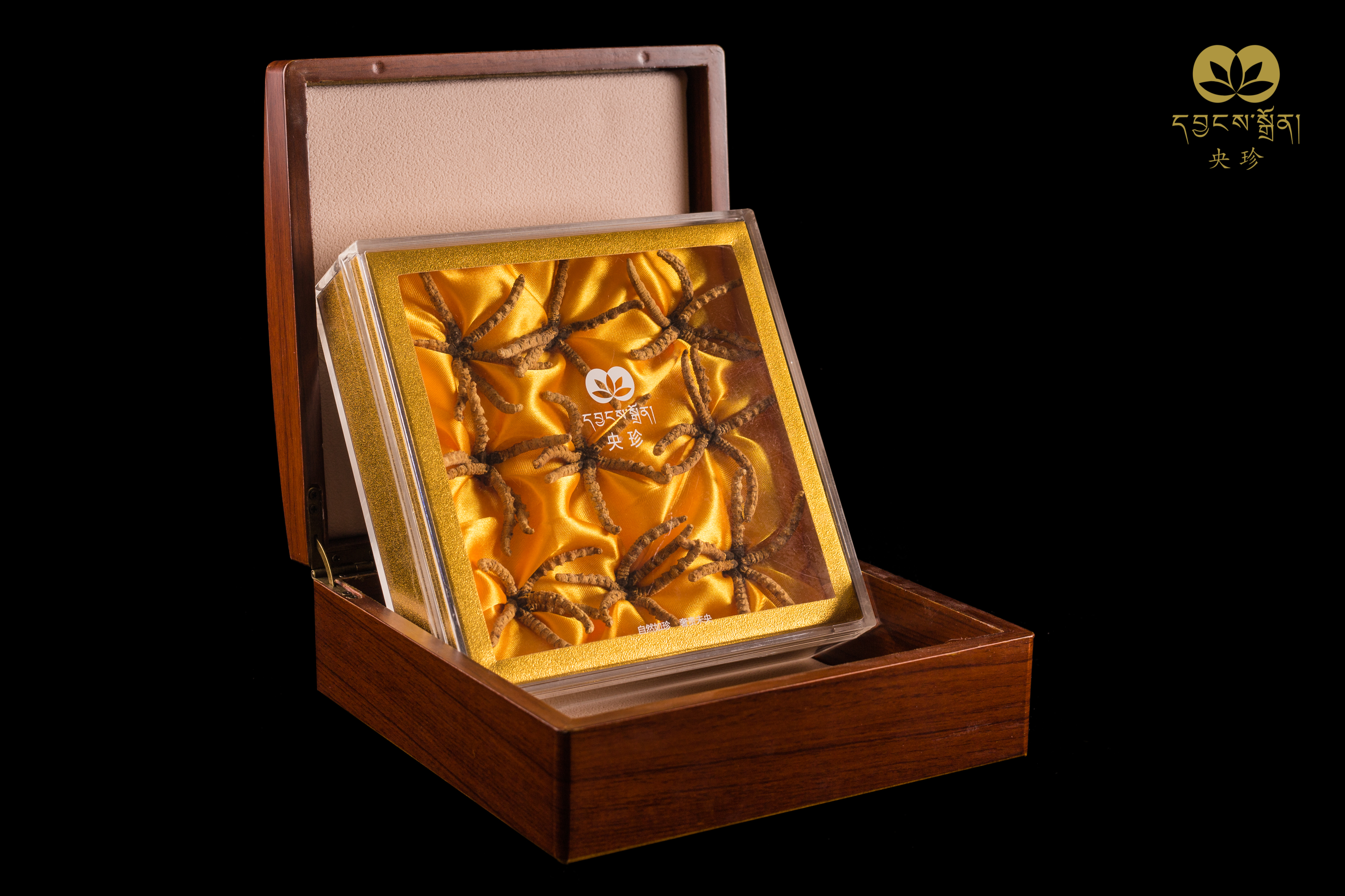 央珍野生冬虫夏草圆盘礼盒1200条规格送礼包邮