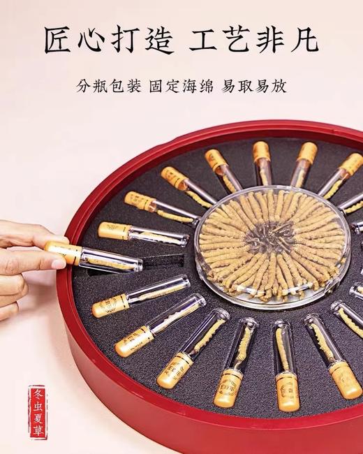 央珍野生冬虫夏草圆盘礼盒1500条规格送礼包邮 商品图2