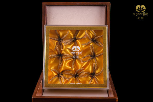 央珍野生冬虫夏草圆盘礼盒1200条规格送礼包邮 商品图1