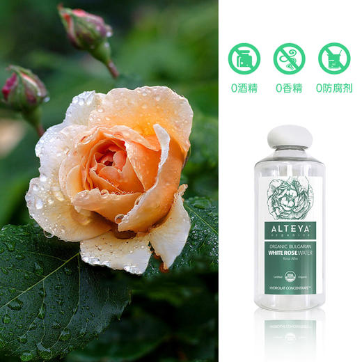 【保税区包邮直发】Alteya 爱蒂娅 Alba白玫瑰纯露 珍贵稀有 亮白补水120ml 商品图5