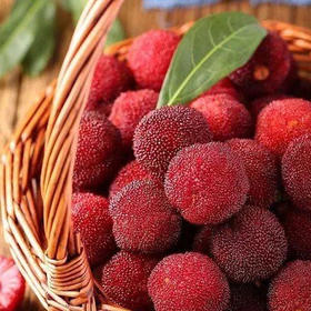 风物上新 ｜ 浙江仙居东魁杨梅