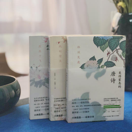 美得让人窒息的唐诗宋词诗经（全3册）中英双语诗画集 100岁译界泰斗许渊冲亲译 商品图1